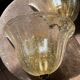 XXL pair of Murano glass wall lights – 1960s
