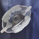 Central coupe in frosted crystal with double swan neck, Mikasa Walther