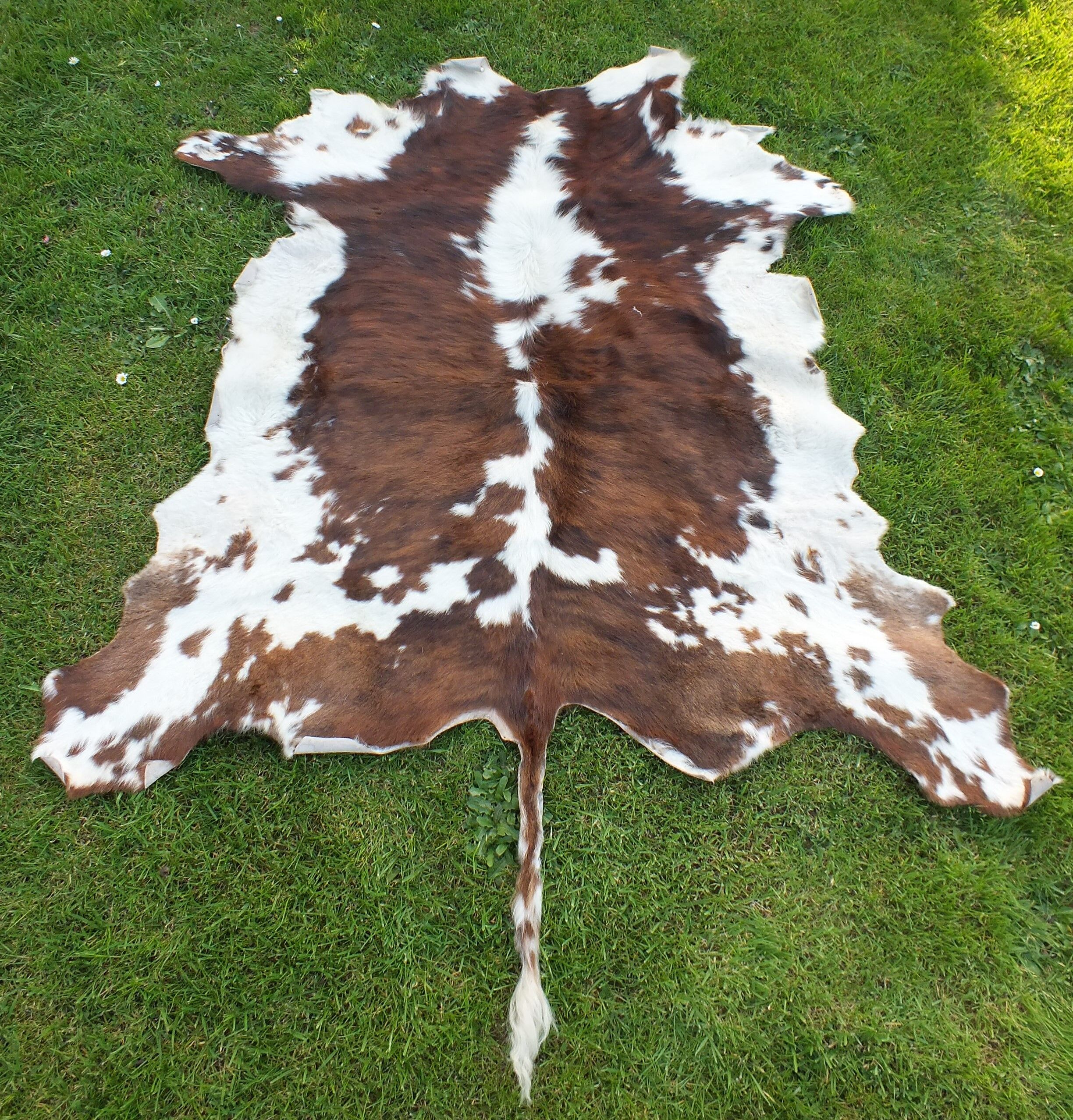 Old large vintage Norman cowhide carpet - Space age 1970