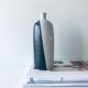 Black and white vase