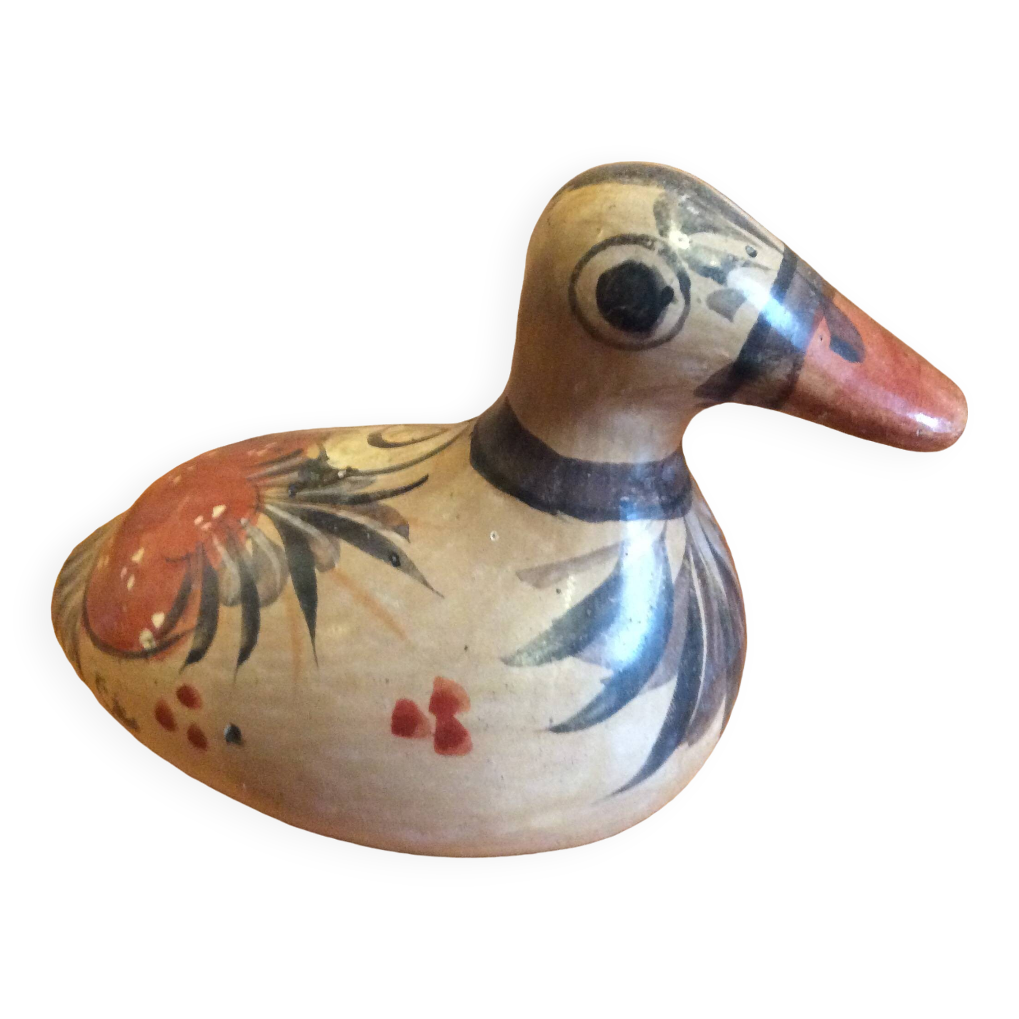 Mexico Duck