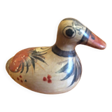 Mexico Duck