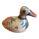 Mexico Duck