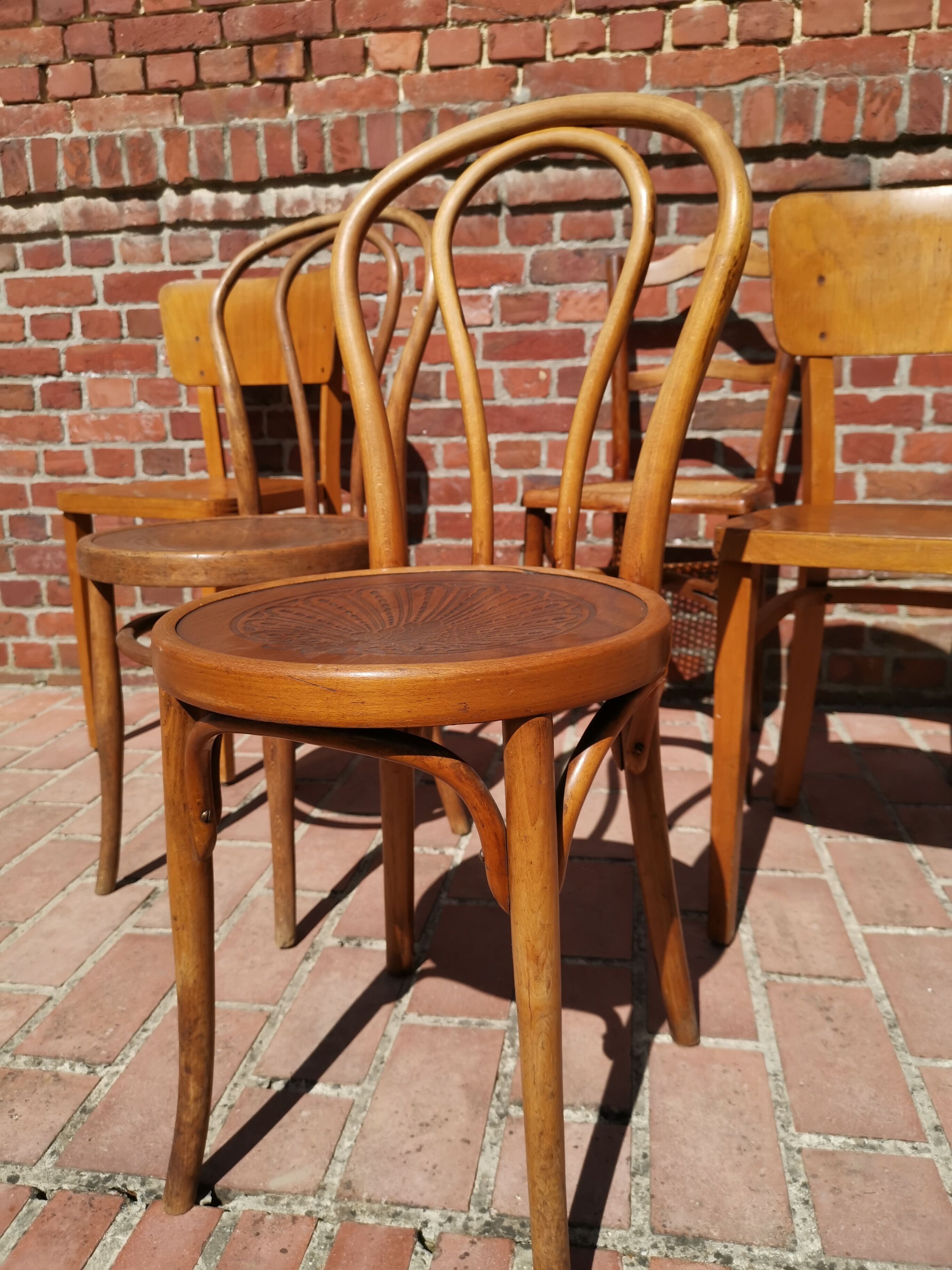 Lot of 6 chairs Jacob - Josef Kohn, Thonet, Mahieu