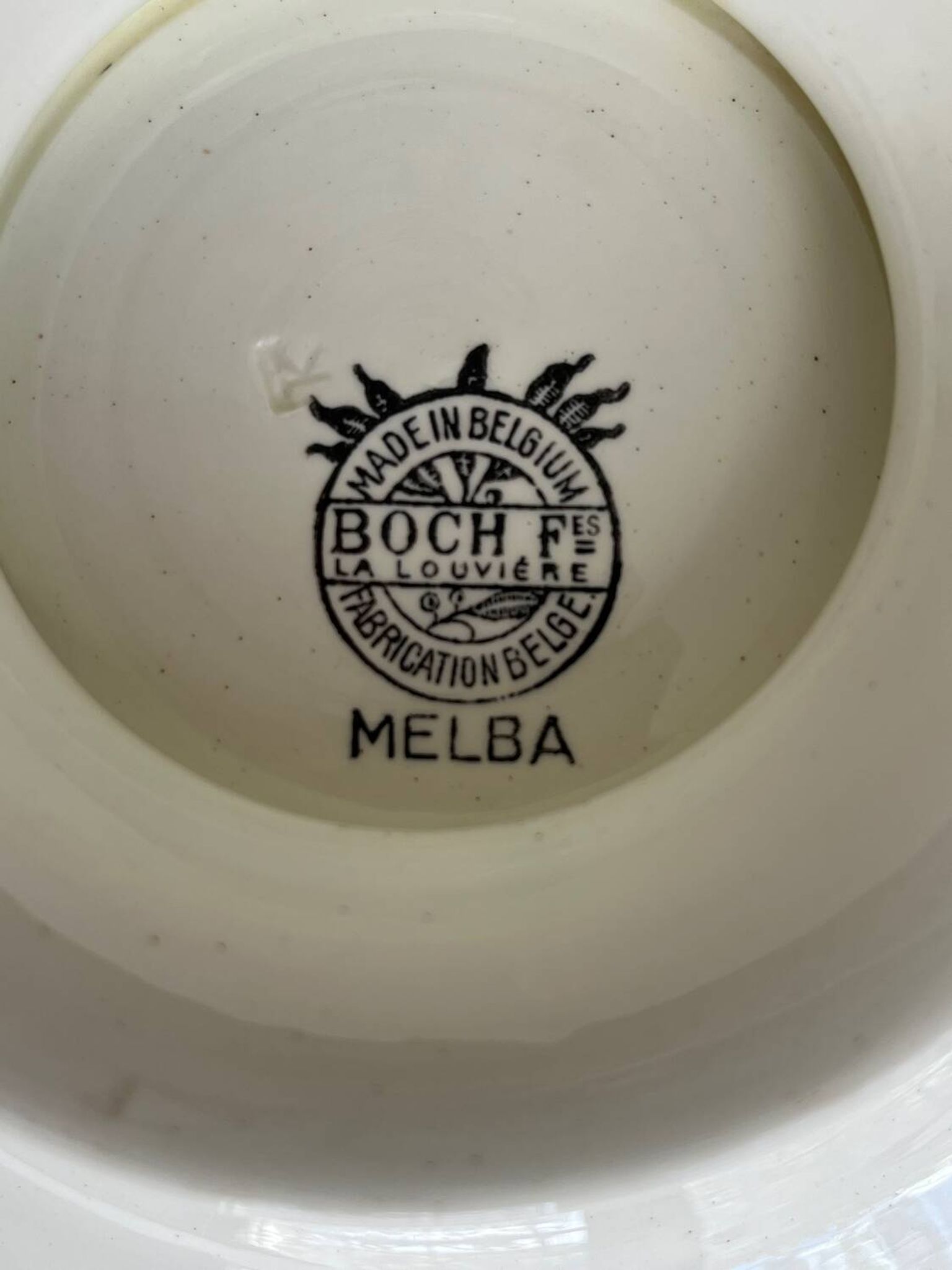 Plat de présentation en faïence Frères Boch
