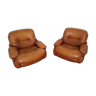 Pair of armchairs, Italy, 70