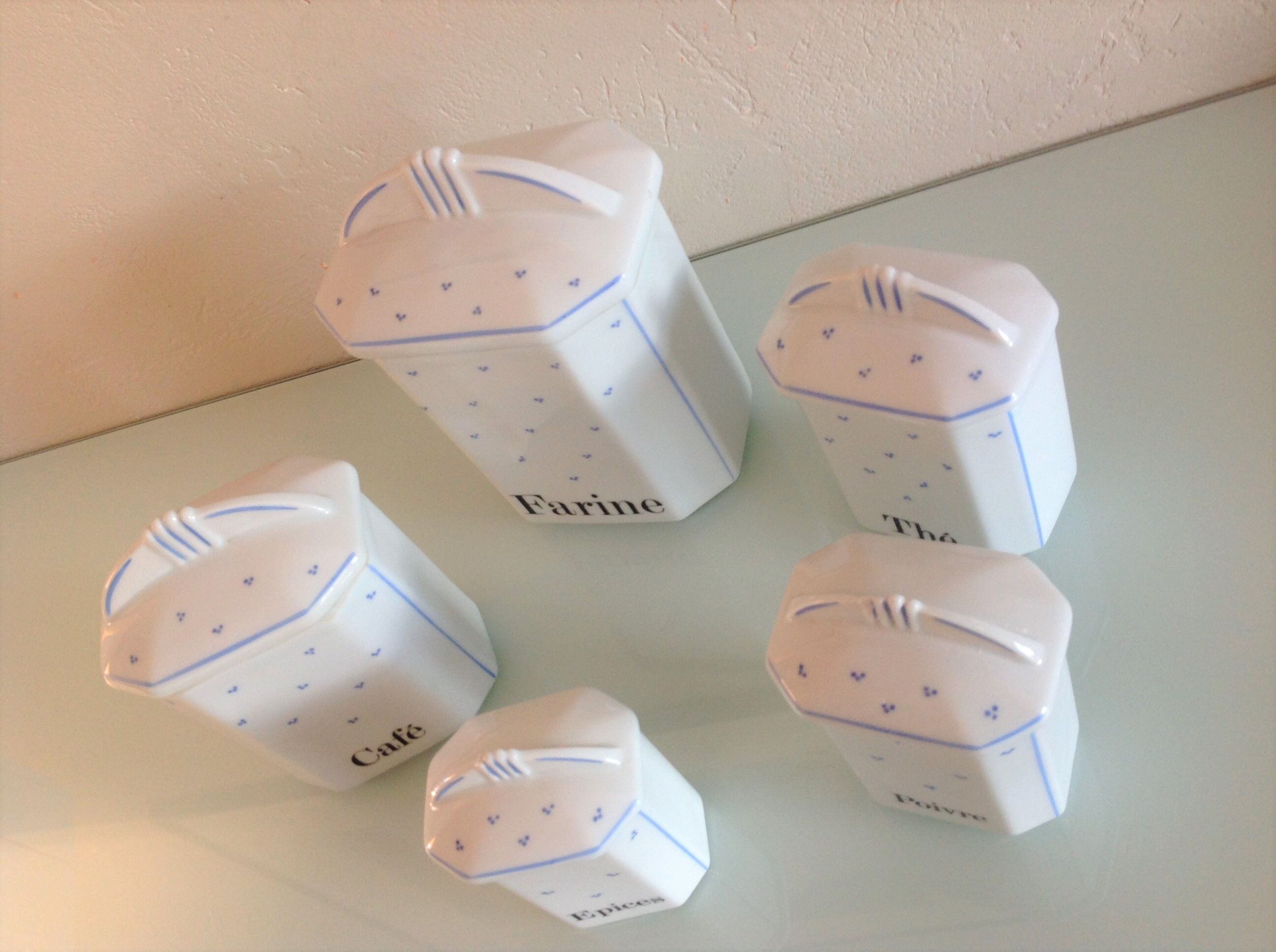 Suite of five Apilco porcelain spice jars / vintage 70s
