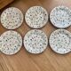 6 plates starter or dessert Oakwood Staffordshire Tableware English porcelain