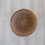 Rattan plant pot