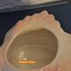 Swan plant pot