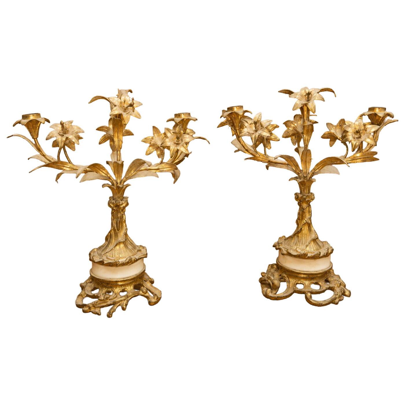 Pair of Louis XV Rocaille Style Candle Holders in Gilded Bronze and Marble