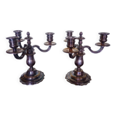 Pair - Candelabra Centerpiece - Silvered Bronze