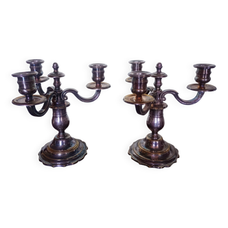 Pair - Candelabra Centerpiece - Silvered Bronze