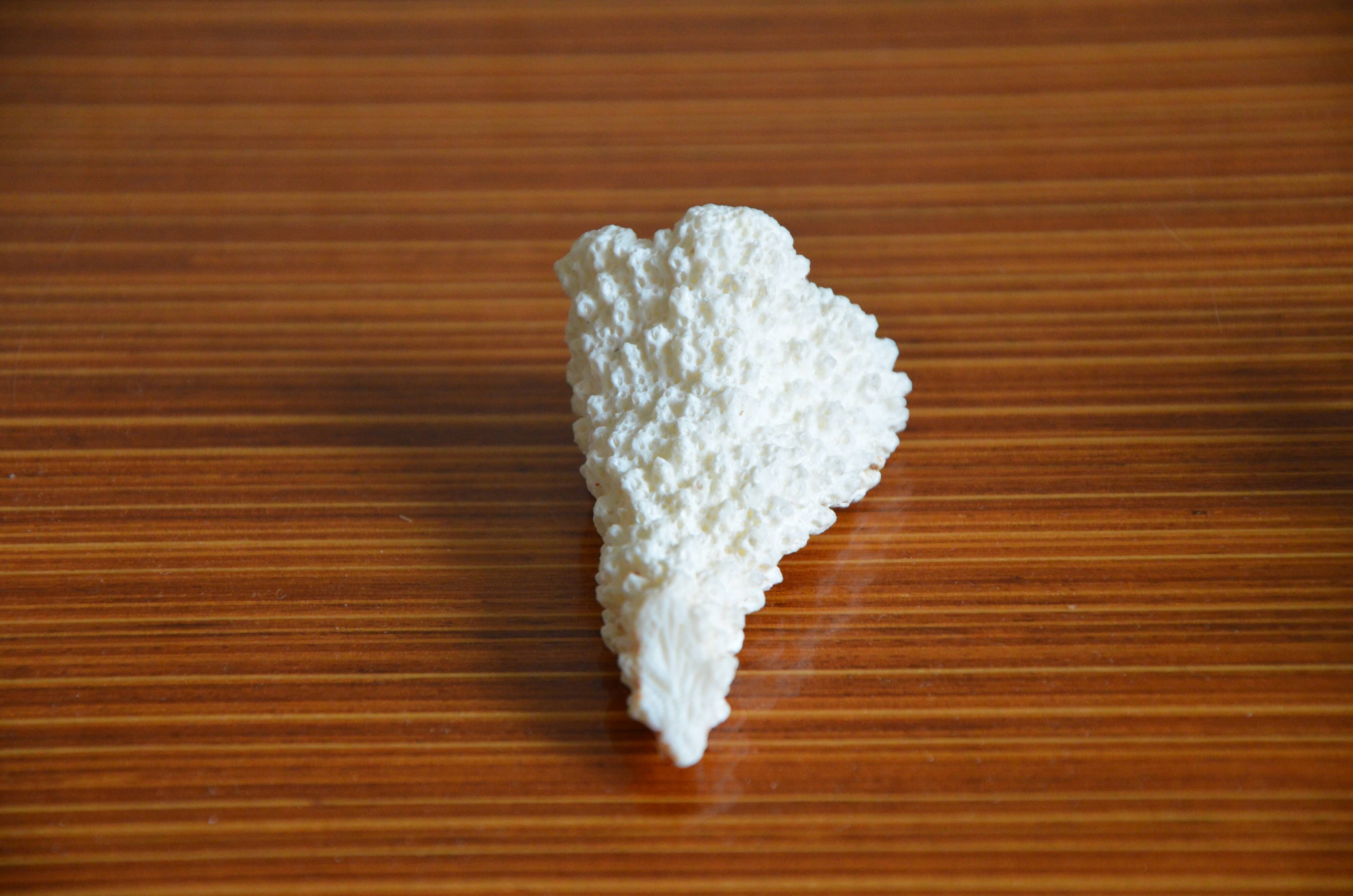 Lot of 3 pieces of coral