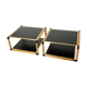 Pair of Italian coffee tables Alberto Smania bamboo brass 1970