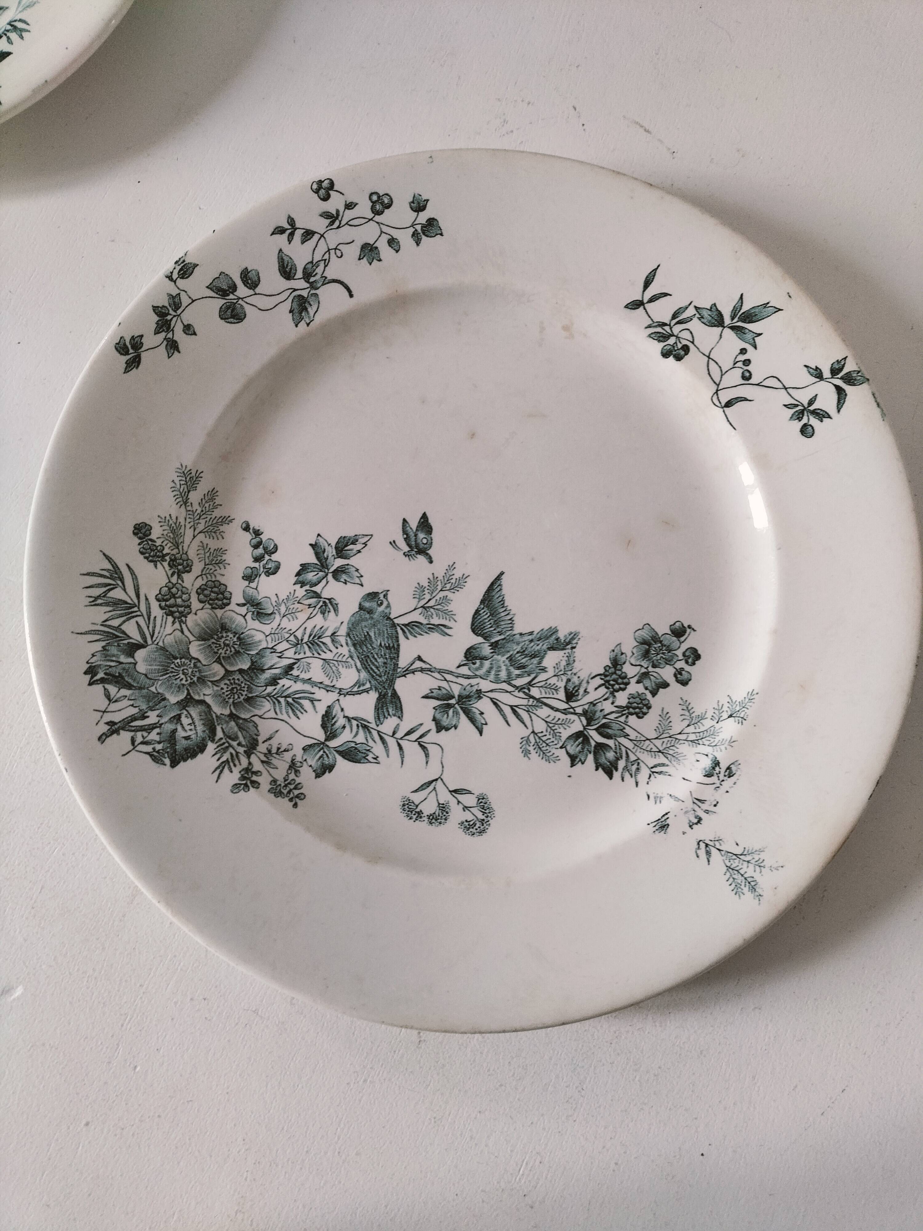 Longwy Mignon Duo – dinner plate and dessert