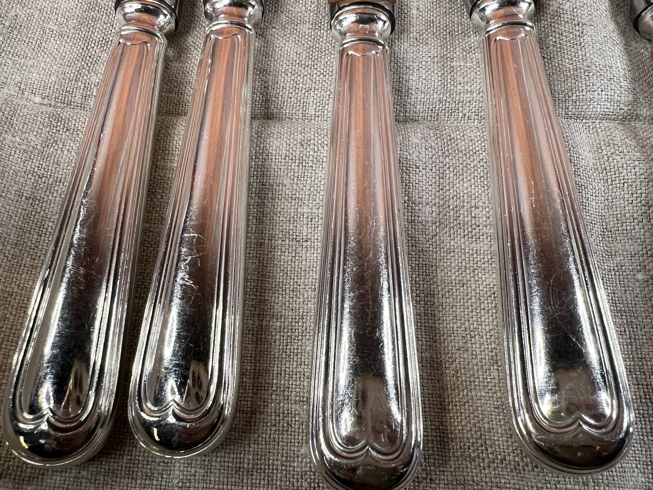 12 FRANÇOIS FRIONNET TABLE KNIVES SILVER METAL