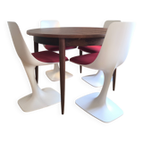 Roche Bobois Arum Chairs