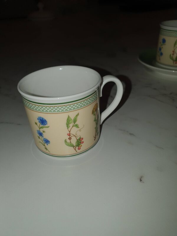 9 tasses, 9 sous tasses et 1 pot lait villeroy boch modèle eden