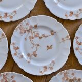 Antique Limoges Haviland porcelain dessert plates, birds