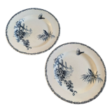 Assiettes terre de fer