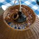 Rattan suspension