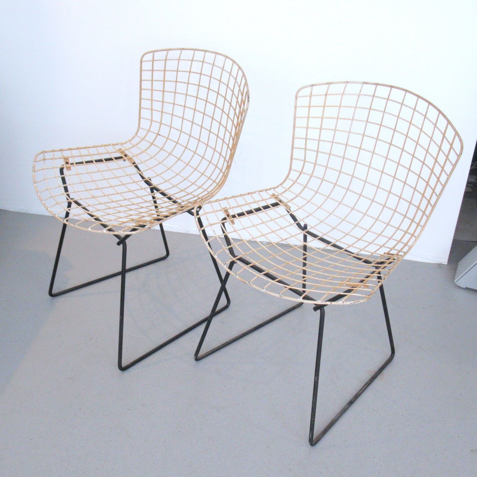 Pair of chairs Harry Bertoia Knoll International