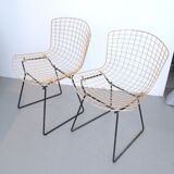 Pair of chairs Harry Bertoia Knoll International