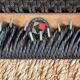 Paire de chaises Niels O. Møller modèle 75 – teck & cordage noir refait