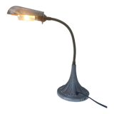 Workshop or desk lamp with hose