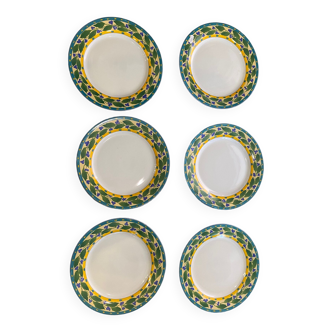 Series of 6 flat plates decoration of porcelain violets my house