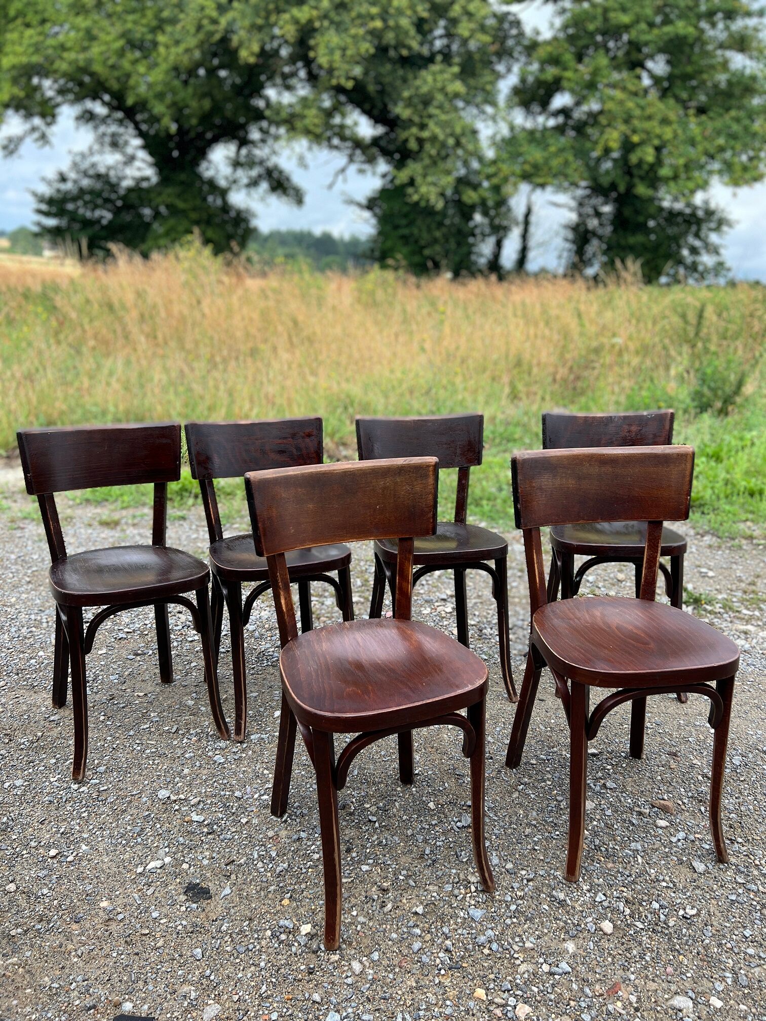 Set of 6 baumann bistro chairs classic years 50 bois fonce