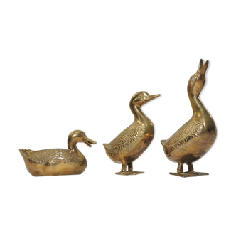 Brass/vintage duck set