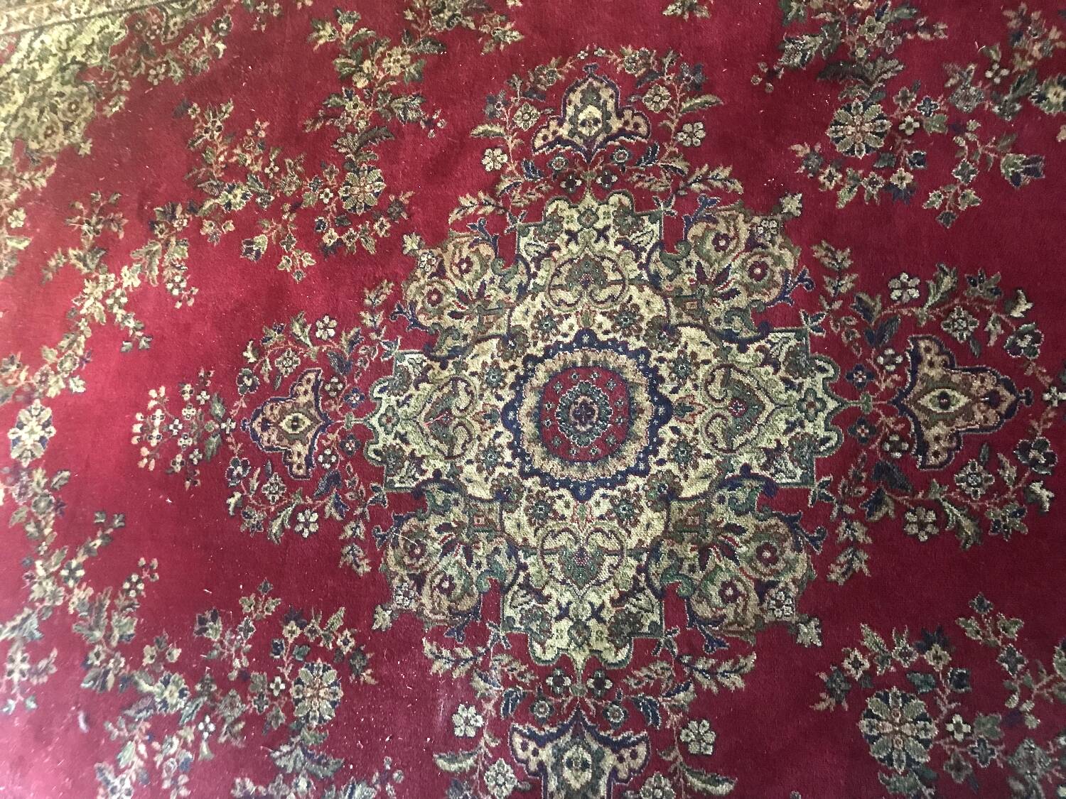 Large rug