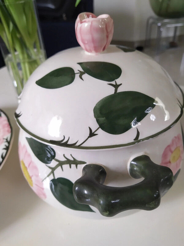 Wild Rose Villeroy & Boch soup dish and plate