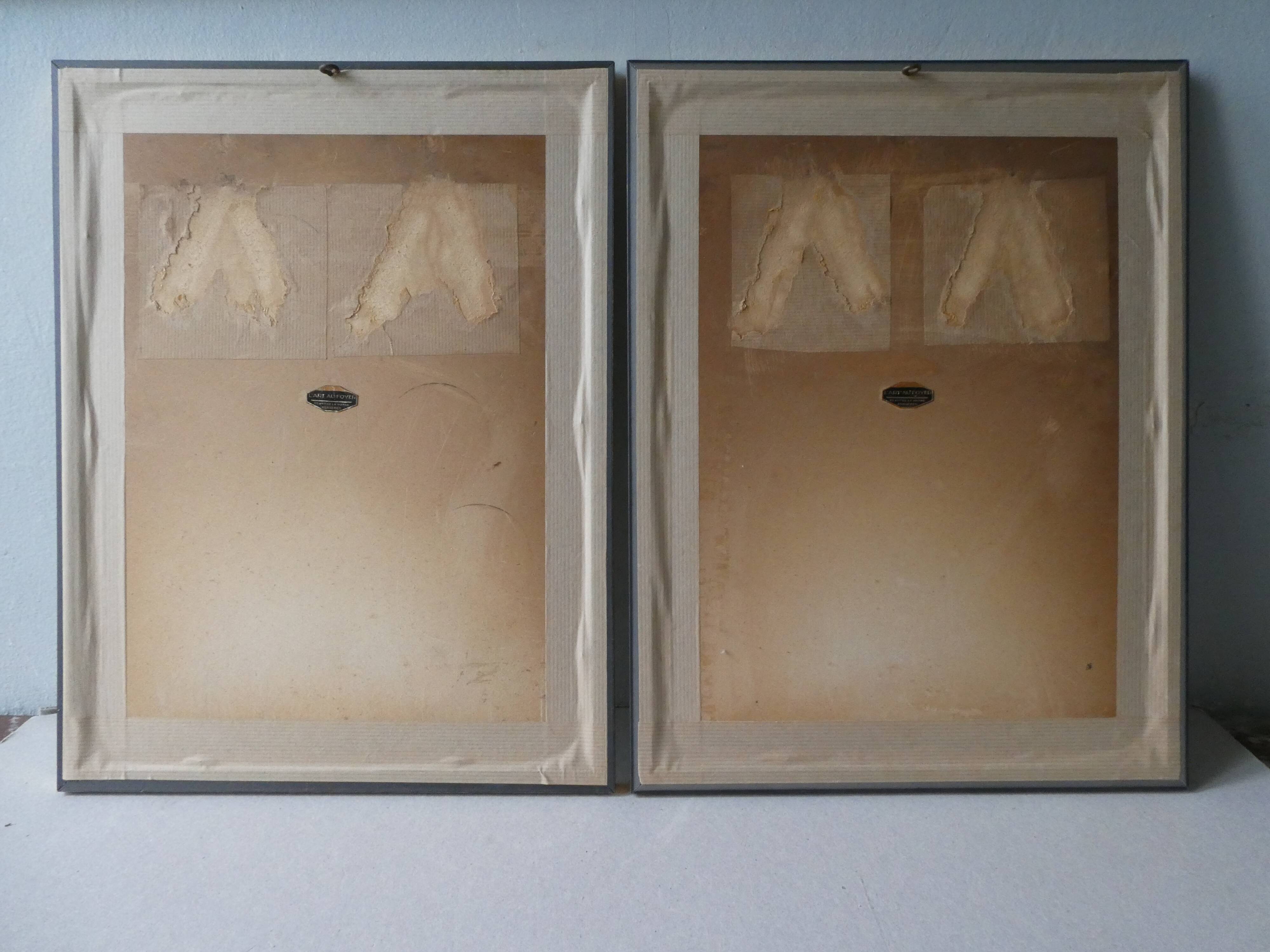 Pair of framed lithographs, birds