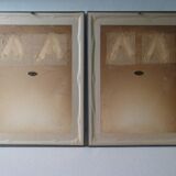 Pair of framed lithographs, birds