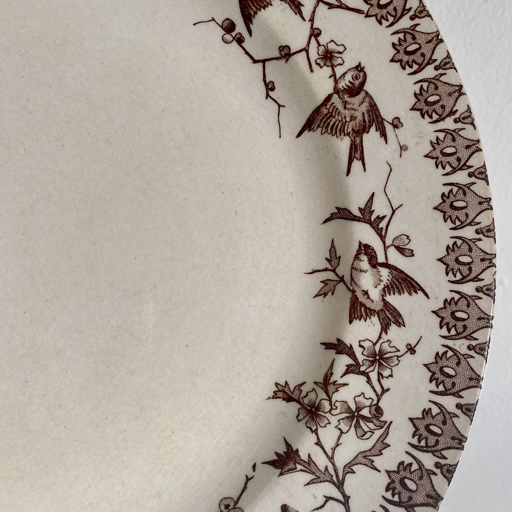 Set of 8 old flat plates in iron earth, decorations of HBC swallows