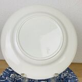 8 English ironstone blue ironstone plates