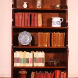 19th Century Mahogany Waterfall Bookcase
