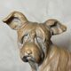 Terracotta dog signed R. Pollin