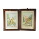 Pair of colorized mycological lithographs - Coprinus comatus, Psalliotta arvensis - 70s
