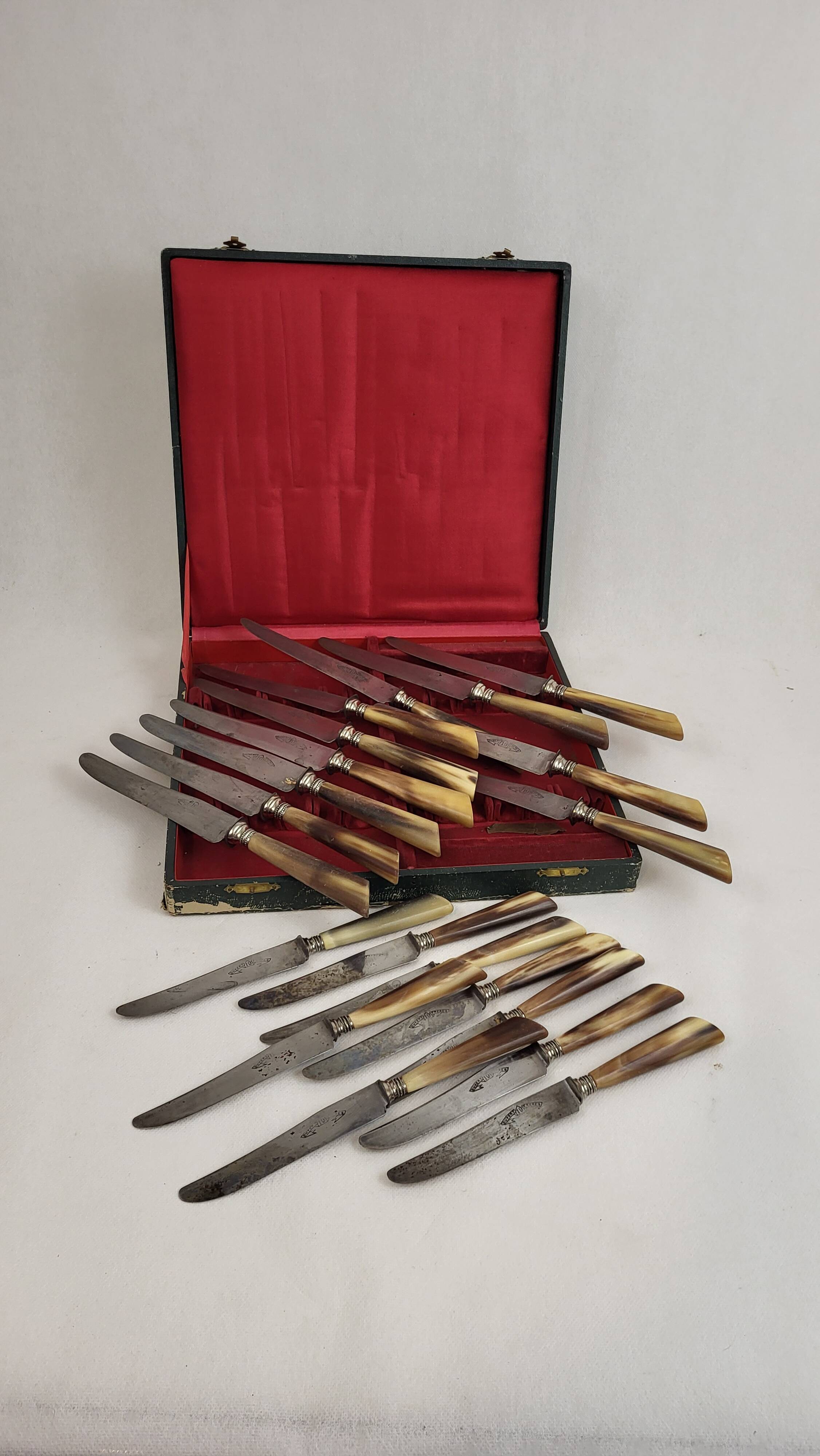 20 table knives with steel blades and horn handles