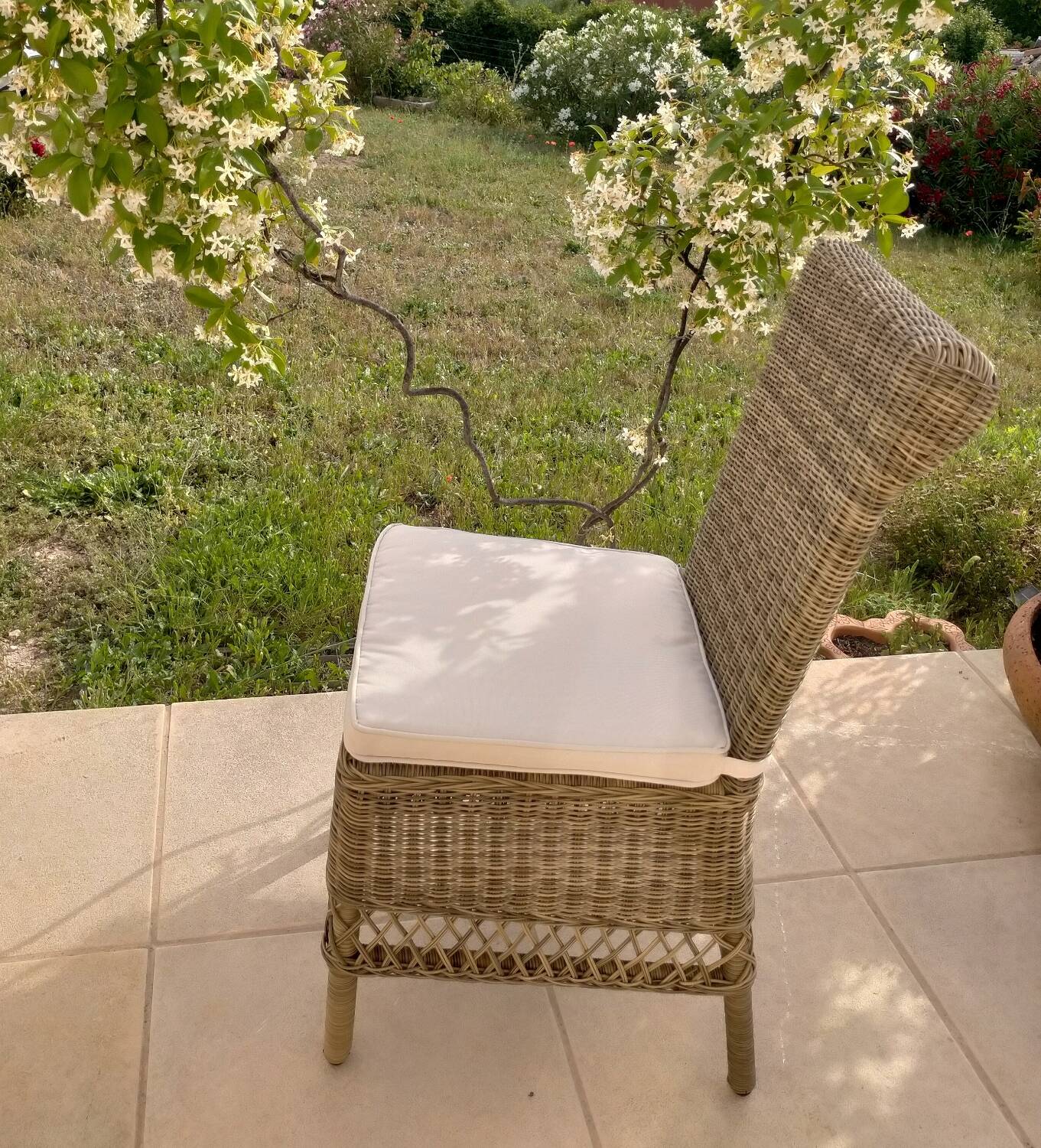 Wicker and rattan chair