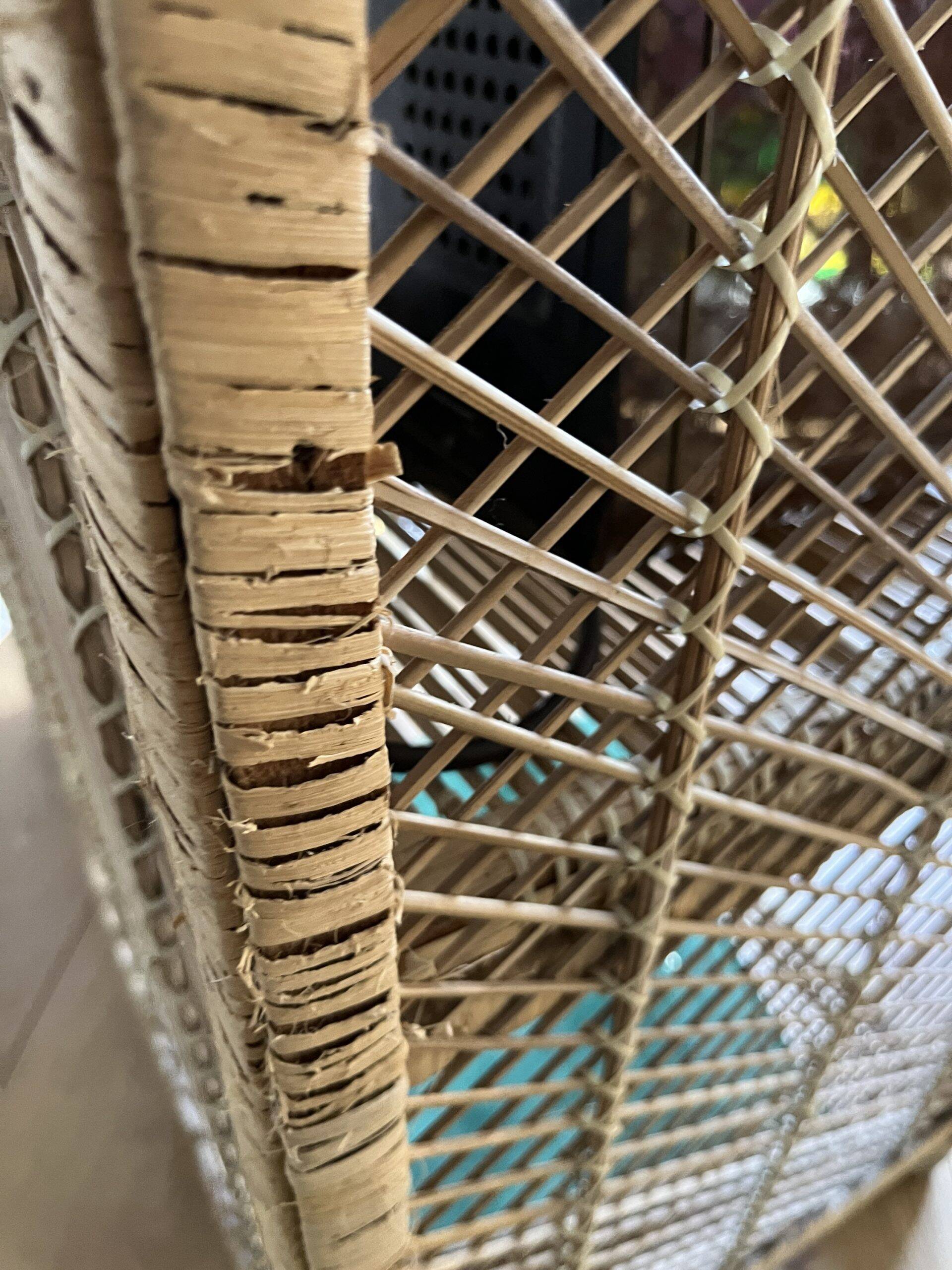 Very large vintage buri shelf