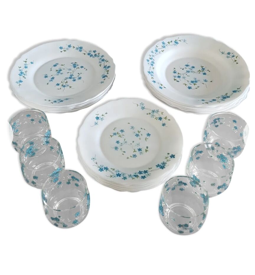 Full service 24 pieces Arcopal Myosotis Veronica