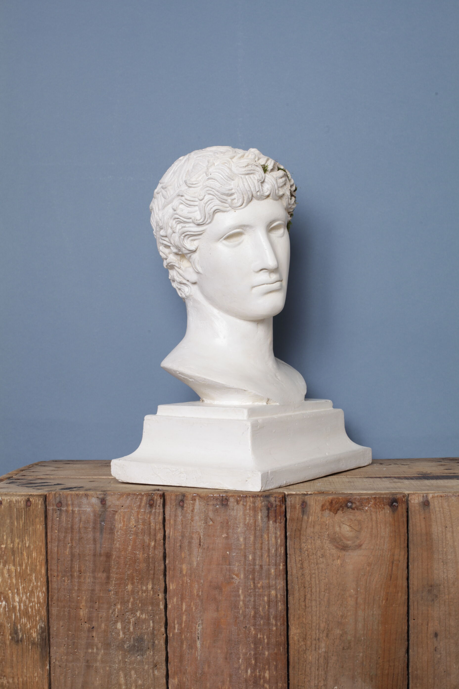 Roman head in waxed plaster