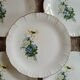 6 antique dessert plates from Digoin and Sarreguemines