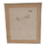 Botanical illustration