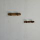 Small coat hook with two round button hooks in pine H5